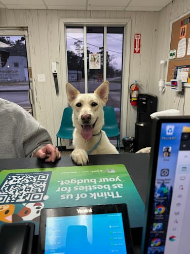 Neighborhood Veterinary Centers