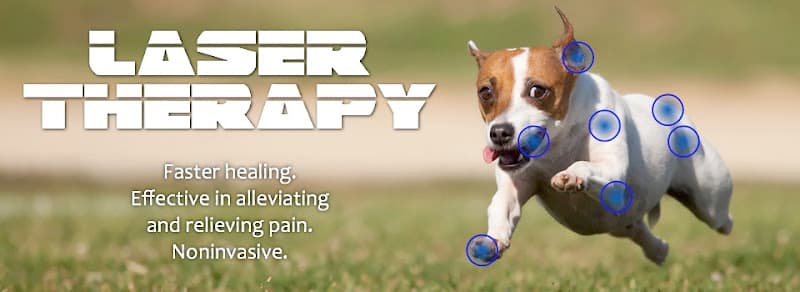 Pearland Animal Hospital