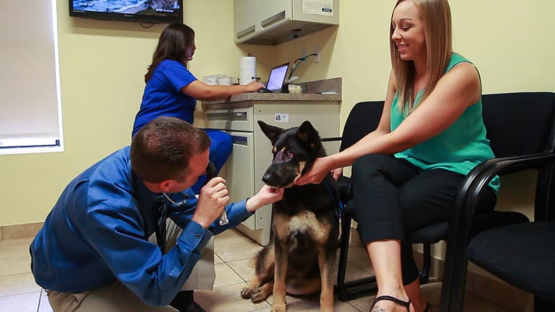 Cypress Fairhaven Animal Hospital