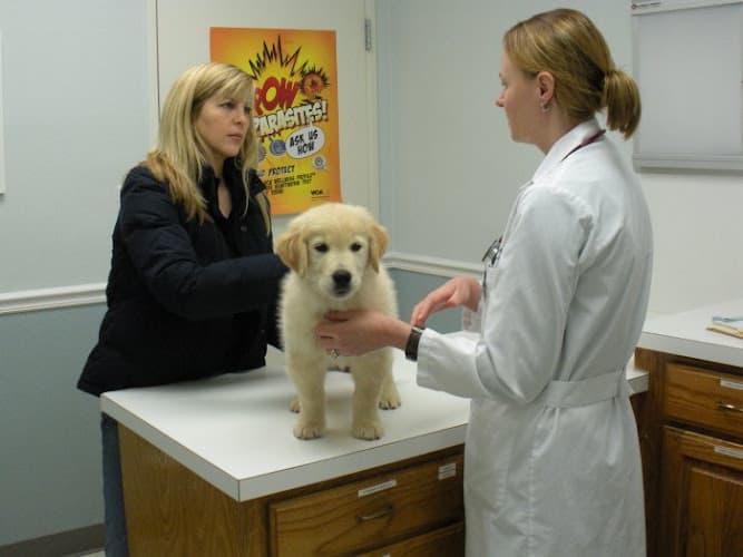 VCA Bedford Meadows Animal Hospital