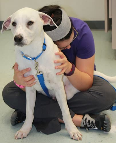 County Line Veterinary Clinic