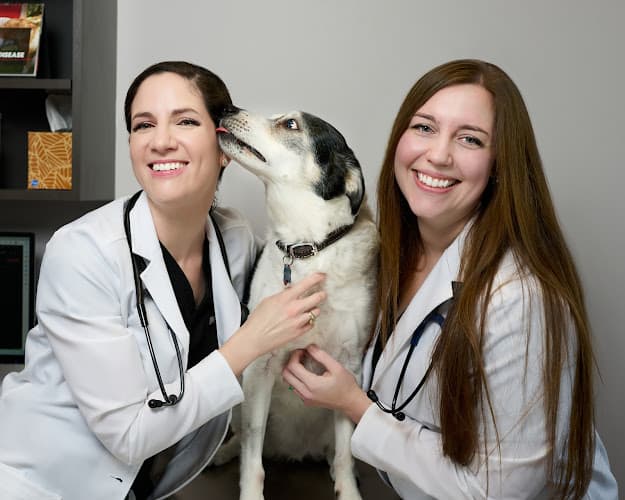 True Animal Vet