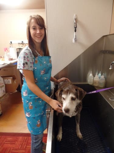 Bar N Veterinary Clinic, PC