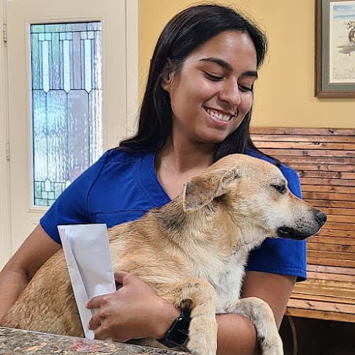Hwy 6 Veterinary Clinic