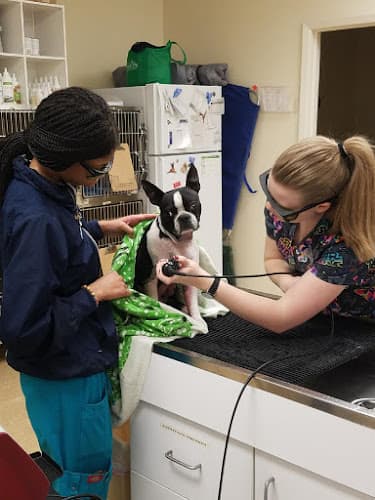 Stagecoach Pet Hospital