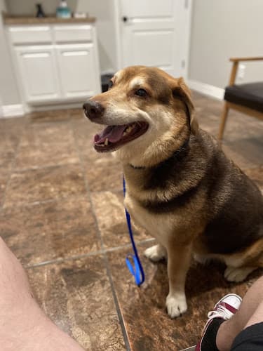 Veterinary Emergency Hospital of Midlothian