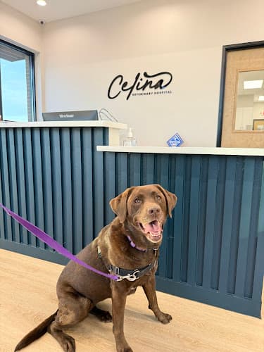 Celina Veterinary Hospital
