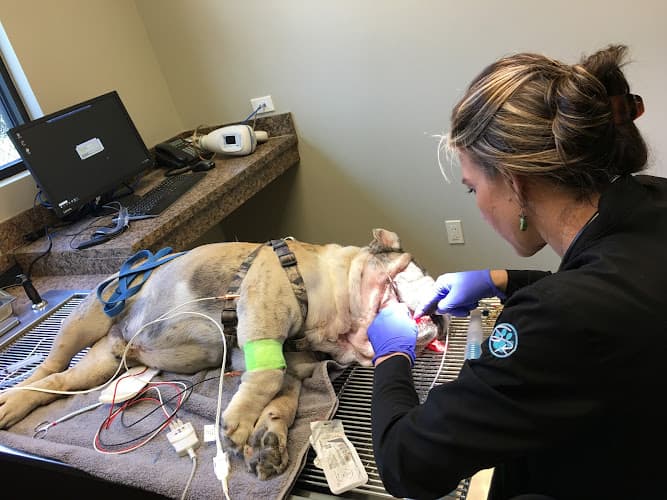 Stone Ridge Veterinary Medical Center & Pet Resort