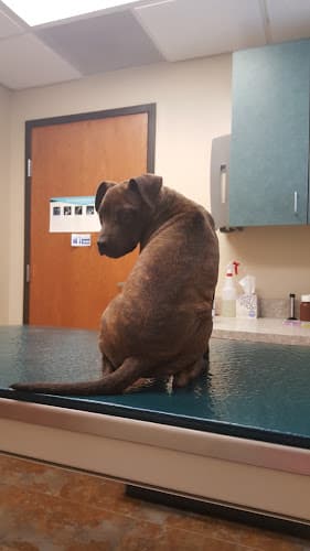 VCA Forney Animal Hospital